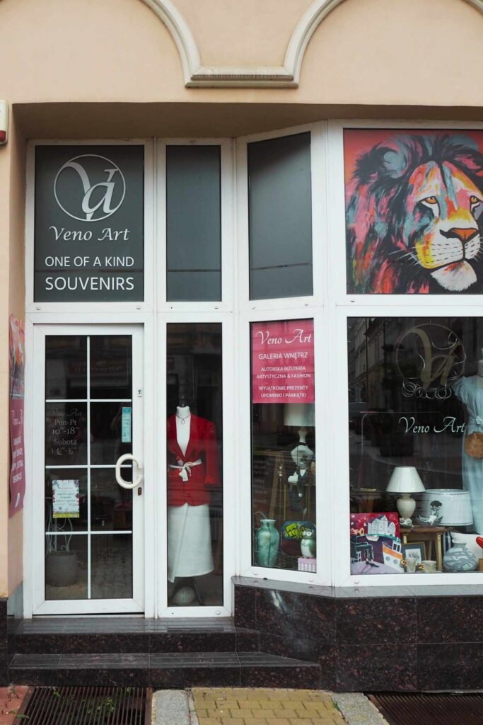 Witryna galerii sztuki i dekoracji wnętrz Veno Art w Bydgoszczy z widocznym obrazem lwa